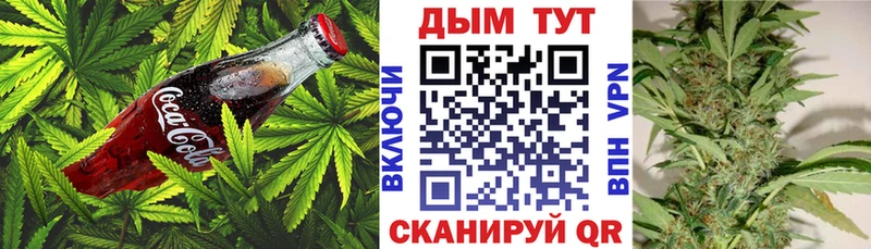 магазин продажи наркотиков  Южно-Сахалинск  Еда ТГК конопля 