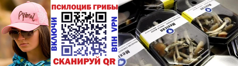 кракен tor  купить наркотик  Южно-Сахалинск  Псилоцибиновые грибы GOLDEN TEACHER 